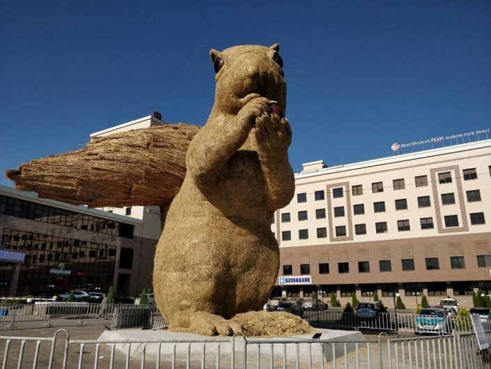 соломенная белка на Атакенте в Алматы